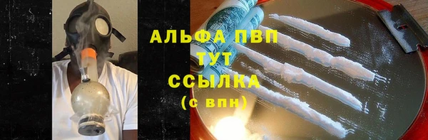 бошки Белокуриха
