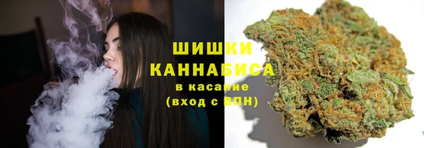 сатива Баксан