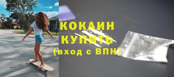 твердый Снежногорск