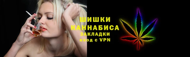 бошки Белокуриха