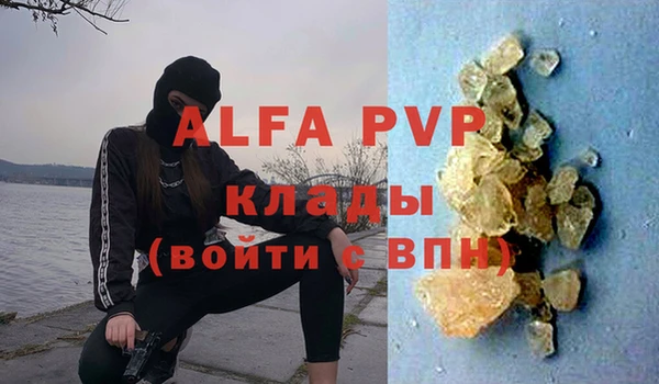 сатива Баксан