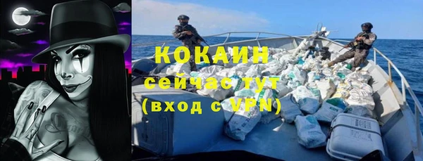 бошки Белокуриха