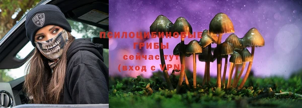 молекула духа Балабаново